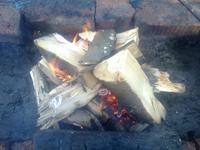 Nokia 7210 Supernova    