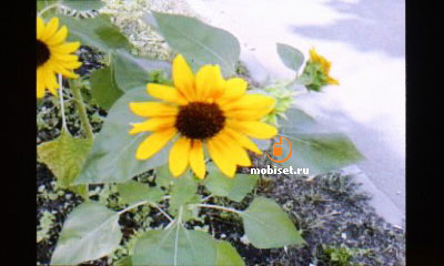 LG GM360 Viewty Snap