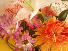   Samsung I9000 Galaxy S:   