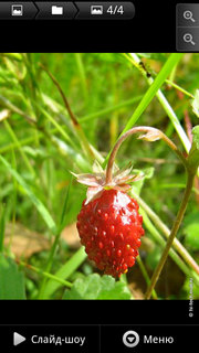  Motorola Milestone XT720:  Android-