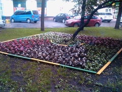  Acer Stream.    Android 