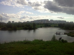   LG Optimus:   Android