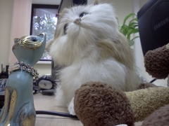   LG Optimus:   Android