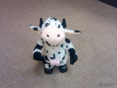  Garmin-ASUS A10:   Android 