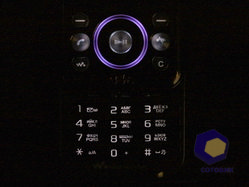  SonyEricsson W395
