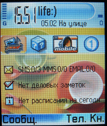 Samsung SGH-D720