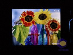  Nokia 6210_Navigator