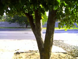  GigaByte g-Smart i128 :: 