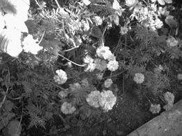  GigaByte g-Smart i128 :: 