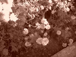  GigaByte g-Smart i128 :: 