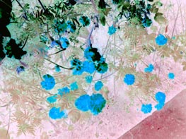  GigaByte g-Smart i128 :: 