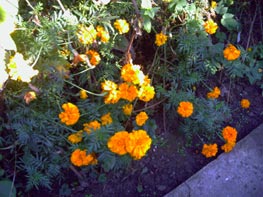  GigaByte g-Smart i128 :: 