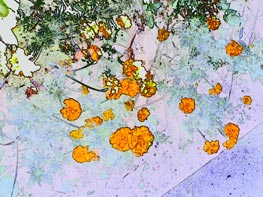  GigaByte g-Smart i128 :: 