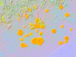  GigaByte g-Smart i128 :: 