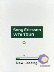  SonyEricsson Z770i