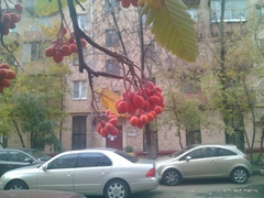 .     Acer Liquid Metal:  Android