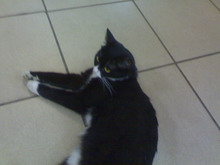 01012006(030) resize