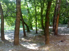 23062006(001) resize