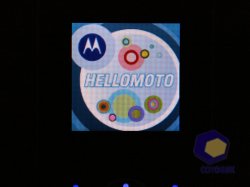  Motorola W218