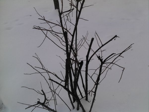 Highscreen Hippo Highscreen Hippo