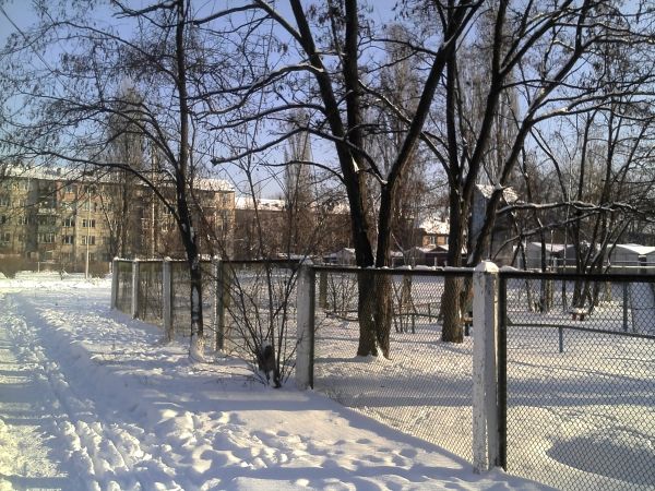 Highscreen Hippo Highscreen Hippo