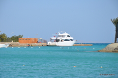  Nikon D7000  :     -