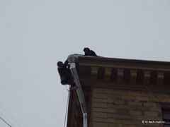 , f/4.5,  1/15, iso 200,    30 