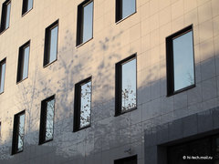 , f/4,  1/1000, iso 125,    18 