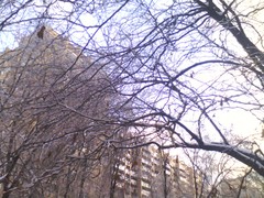  Philips Xenium X513:   