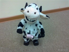  Nokia C5-03:    Nokia