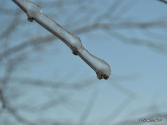  , f/8,  1/160, iso 100,    55 