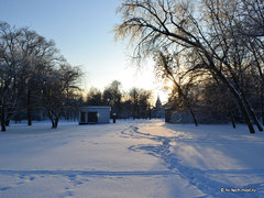  GUIDE, f/11,  1/500, iso 320,    18 