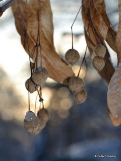 , , f/8,  1/160, iso 100,    55 