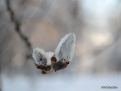   , f/5.6,  1/50, iso 100,    55 