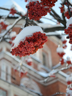  , f/5.6,  1/60, iso 100,    55 