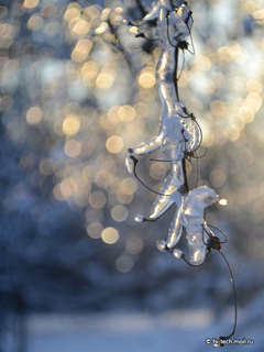  , f/6.3,  1/160, iso 100,    55 