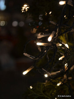  , f/5.6,  1/20, iso 800,    55 