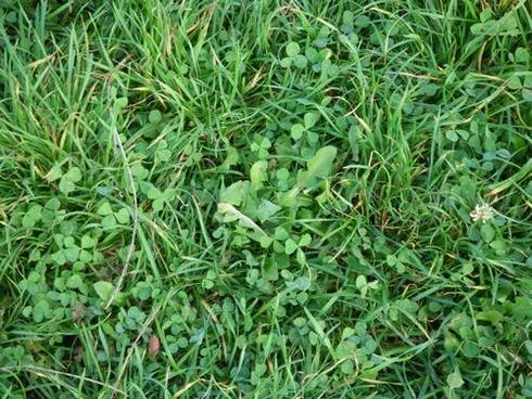  = 140 ; f/5,5;  1/30 ; ISO 200