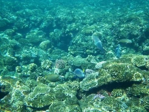  = 34 ; f/3,8;  1/80 ; ISO 50