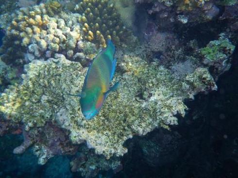  = 51 ; f/4,4;  1/60 ; ISO 200;  