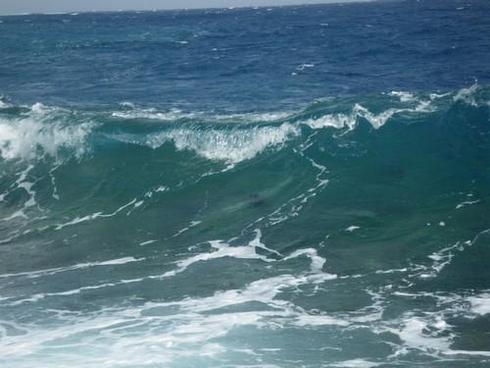  = 115 ; f/5,2;  1/250; ISO 50