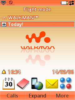 Sony Ericsson W950i -  