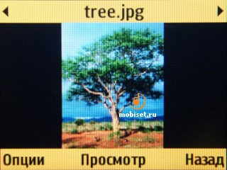 Samsung C3222 Duos Lite