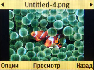 Samsung C3222 Duos Lite