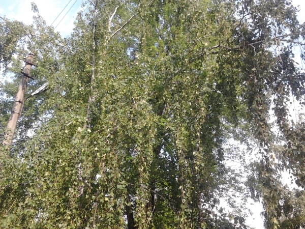 Samsung Galaxy Gio (S5660) Samsung Galaxy Gio (S5660)