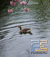     Sony Ericsson Xperia Arc