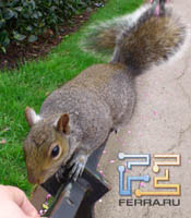     Sony Ericsson Xperia Arc