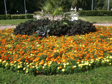 Sony Ericsson Xperia mini pro