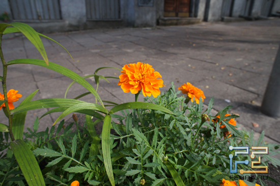 ISO 400, 16 , F/8.0, 1/200