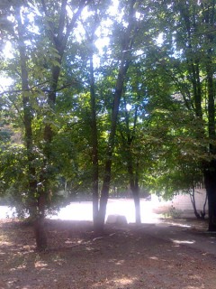  Nokia C2-03:     SIM- 